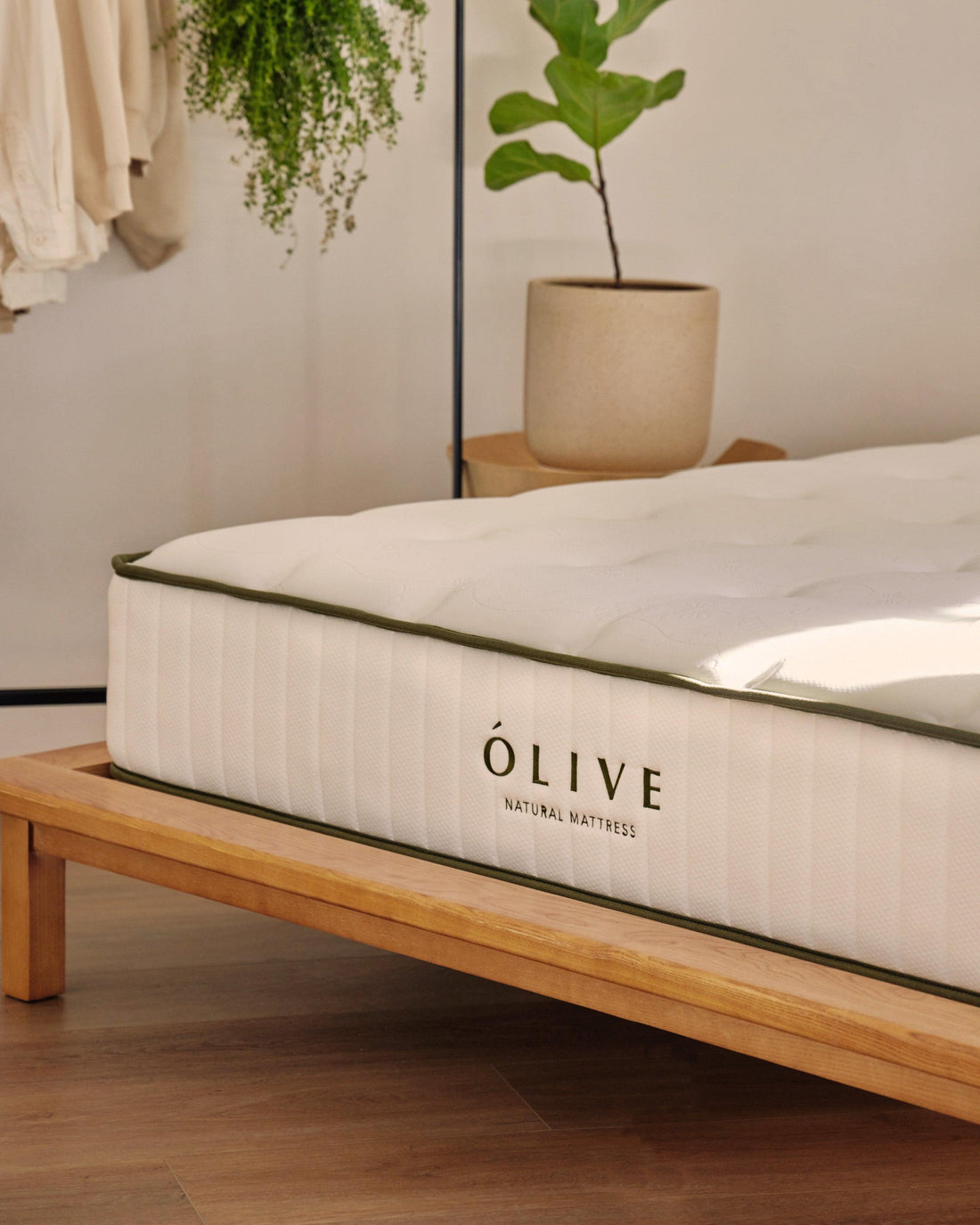 ÓRIGINAL 原創床墊 - ÓLIVE