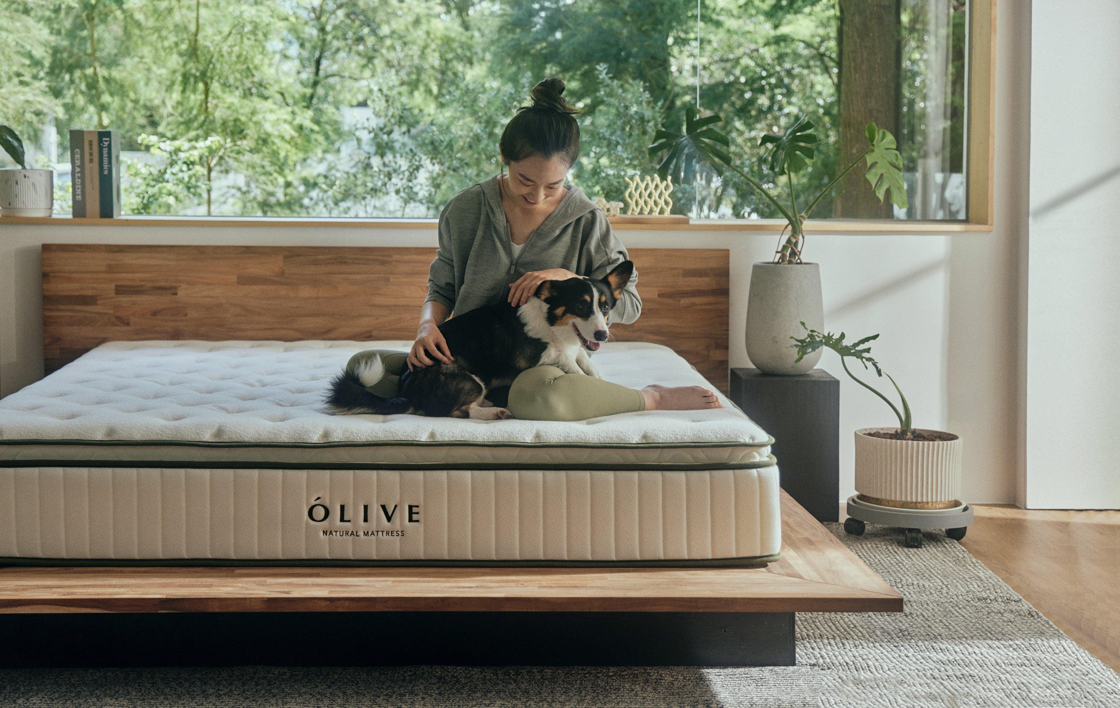 Deep Sleep in Nature