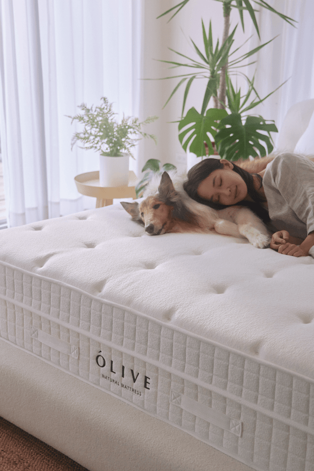 ÓCEAN 海洋床墊 - ÓLIVE